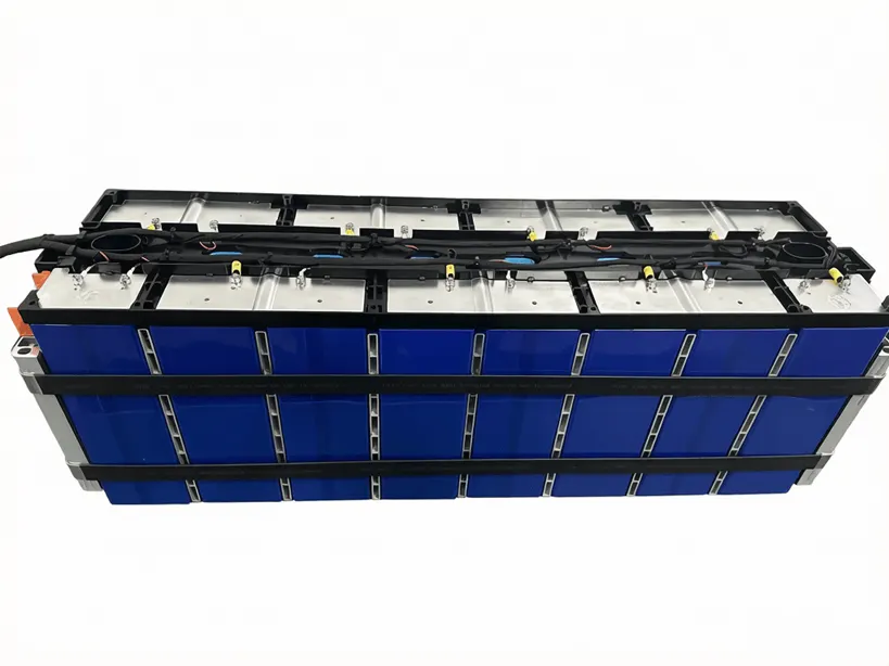 Prismatic cell module